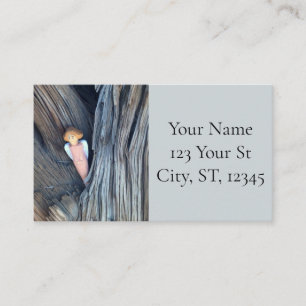 Carved angel in tree Thunder Cove Business Card