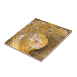 Carved Bowl Made of Fossils in Rock Closeup Photo Tile