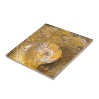 Carved Bowl Made of Fossils in Rock Closeup Photo Tile