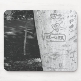 Carving on birch tree trunk B&W Mouse Mat