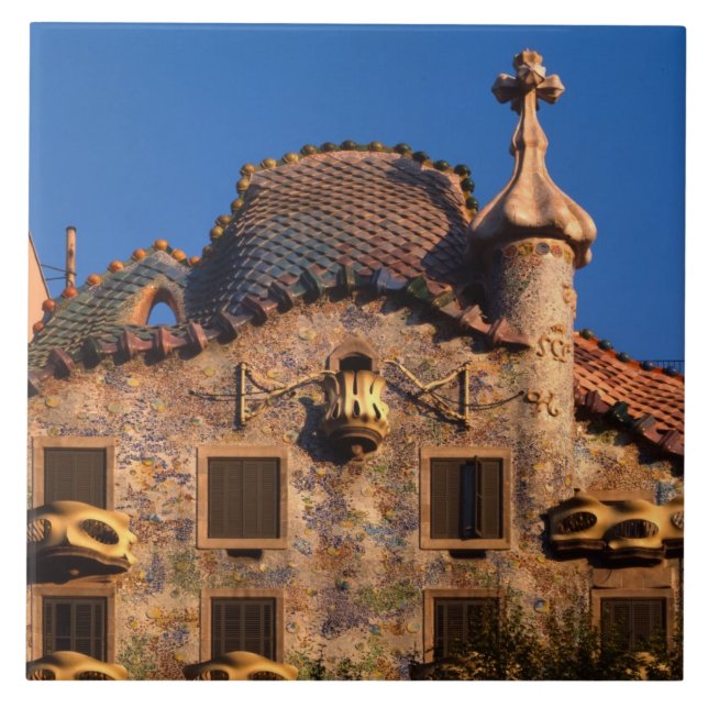 Casa Batilo, Gaudi Architecture, Barcelona, Tile (Front)