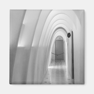 Casa Batllo Attic Magnet: Barcelona Magnet