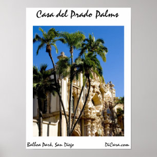 Casa del Prado Palms Poster