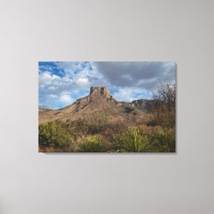 Casa Grande Peak, Chisos Basin, Big Bend Canvas Print