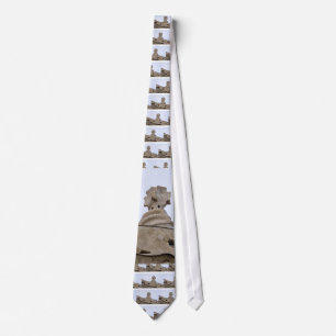 casa mila barcelona tie