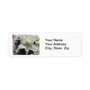 Casablanca Lily Flower Return Address Label