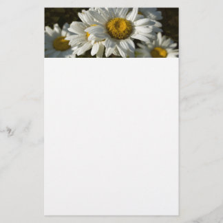 Casacding Daisy Stationery