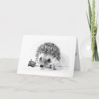 Casanova hedgehog holding rose in mouth card