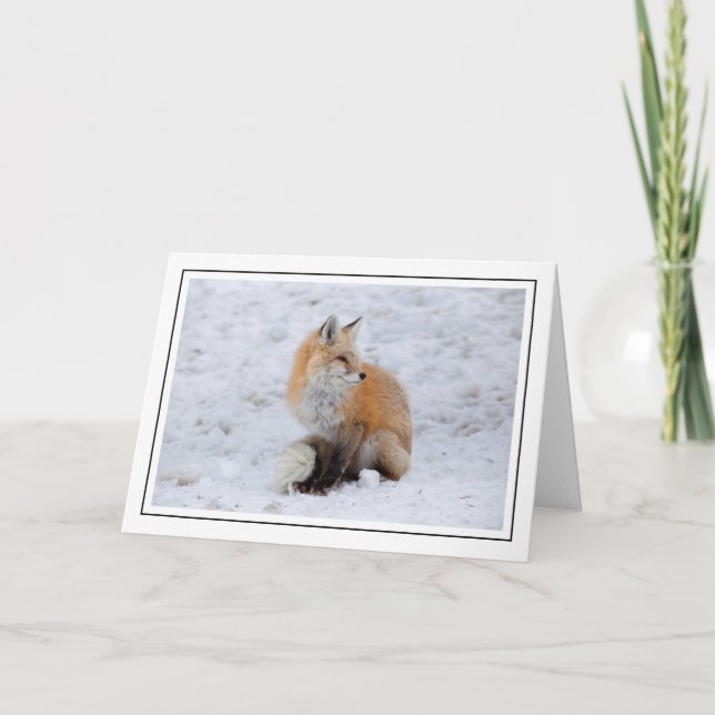 Cascade Fox in Snow Holiday Card (Front)