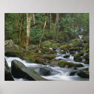 Cascade in Cosby Poster