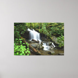 Cascade in Smoky Mountain National Park Canvas Print