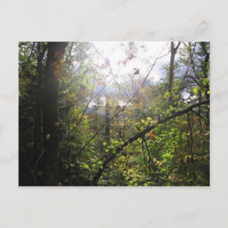 cascade mountain postcard