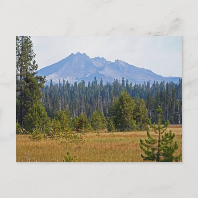 Cascade Mountains, Oregon Postcard (Front)