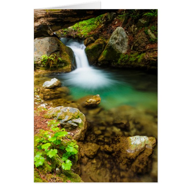 Cascade on Hare Creek, California (Front)
