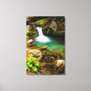 Cascade on Hare Creek, California Canvas Print