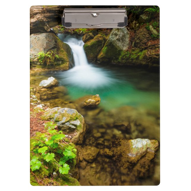 Cascade on Hare Creek, California Clipboard (Front)