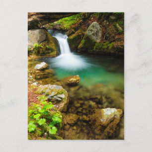 Cascade on Hare Creek, California Postcard