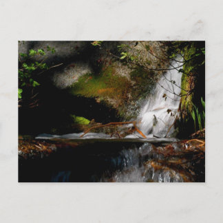 CASCADE. POOL. FALLS. Meditation-a way of looking Postcard