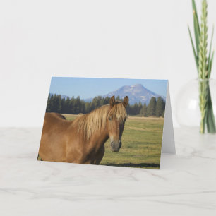 Cascade Range   Chestnut Horse Card