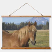 Cascade Range | Chestnut Horse