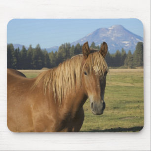 Cascade Range   Chestnut Horse Mouse Mat