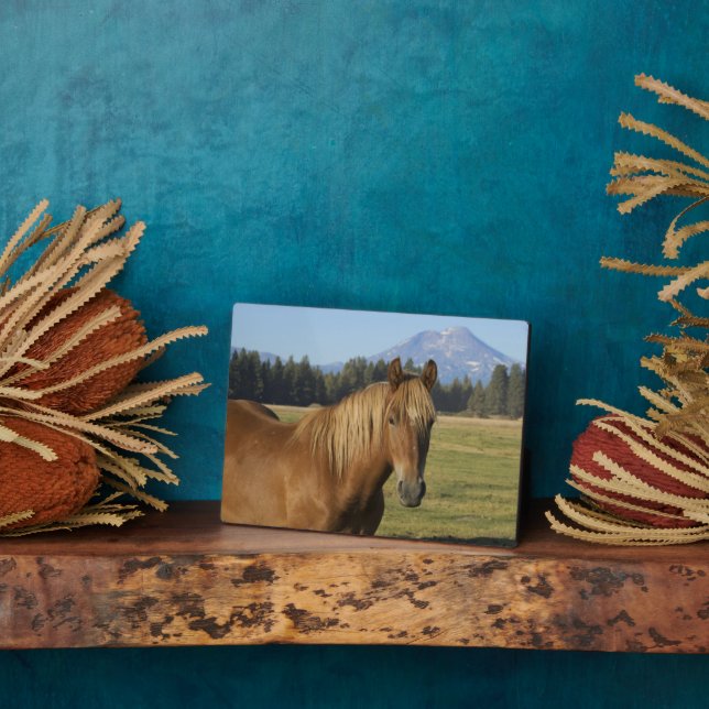 Cascade Range | Chestnut Horse Plaque (Side)
