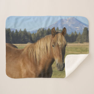 Cascade Range Chestnut Horse Sherpa Blanket