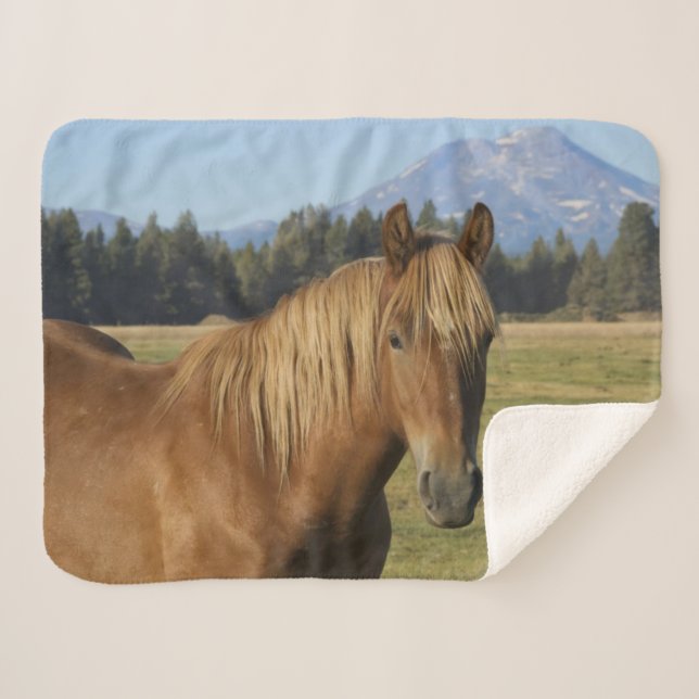 Cascade Range | Chestnut Horse Sherpa Blanket (Front (Horizontal))