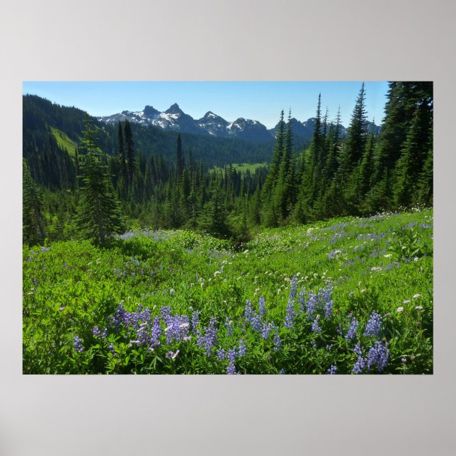 Cascade Range from Mount Rainier National Park Poster (Front)