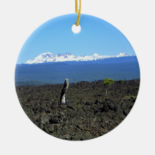 Cascades and Lava Rocks, OR Ceramic Tree Decoration