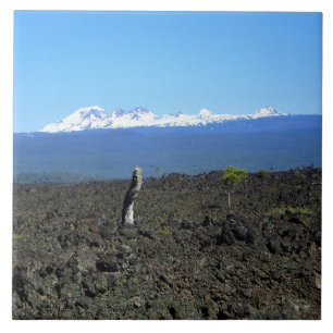 Cascades and Lava Rocks, OR Tile