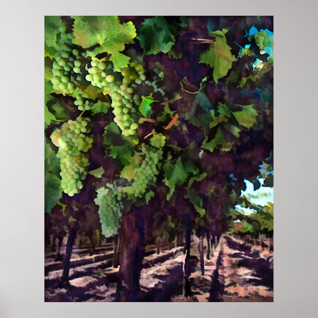 Cascading Grapes Poster (Front)