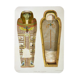 Case and mummy in its cerements from Gizeh, Volume Magnet