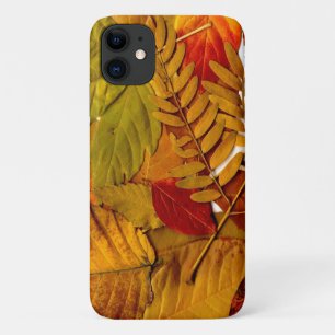 Case-Mate Barely There Apple iPhone 11 Case
