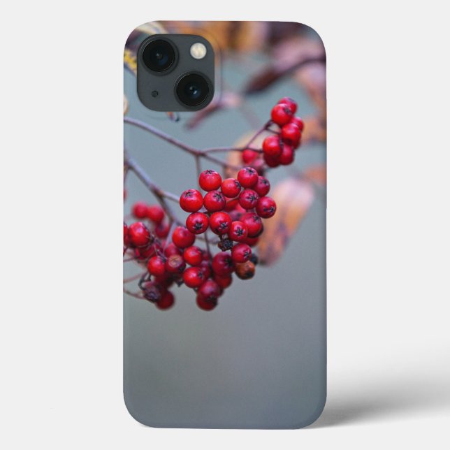 Case-Mate Barely There Apple iPhone 13 Case (Back)