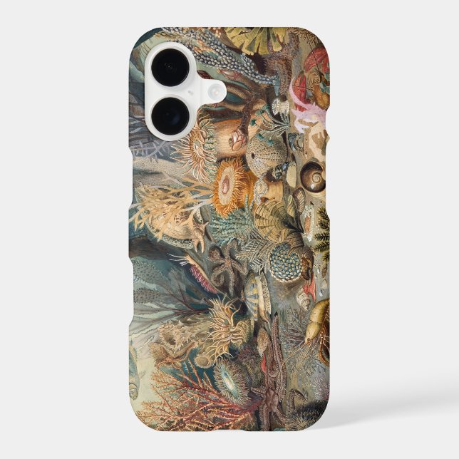 Case-Mate Barely There iPhone 8/7 Case (Back)