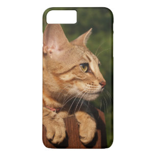 Case-Mate Barely There Plus iPhone 7 Case Kitten