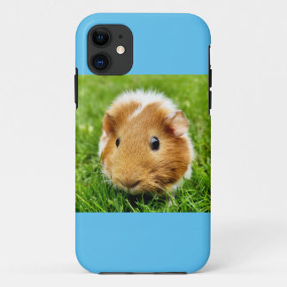   iPhone 11 CASE