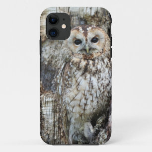 Case-Mate Tough Apple iPhone 11 Case