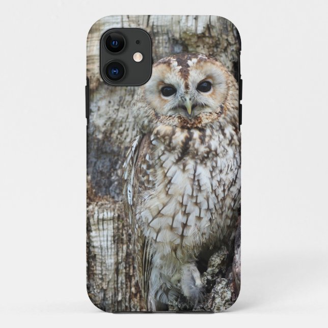 Case-Mate Tough Apple iPhone 11 Case (Back)