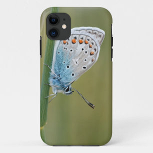 Case-Mate Tough Apple iPhone 11 Case