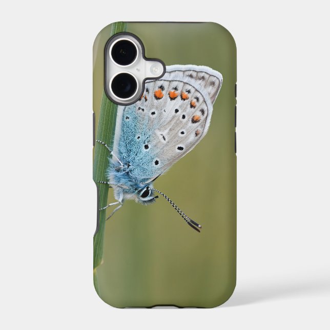 Case-Mate Tough Apple iPhone 11 Case (Back)