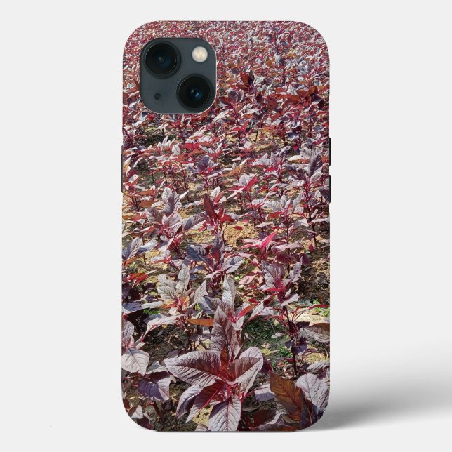 Case-Mate Tough Apple iPhone 13 Case (Back)