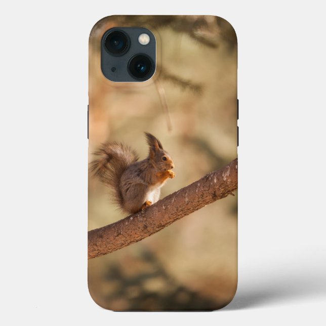 Case-Mate Tough Apple iPhone 13 Case (Back)