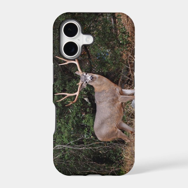 Case-Mate Tough Plus iPhone 7 Case Wild Buck Deer (Back)