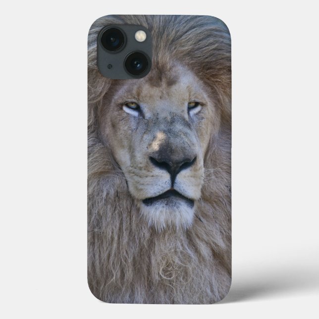 Caseper iPad Case (Back)