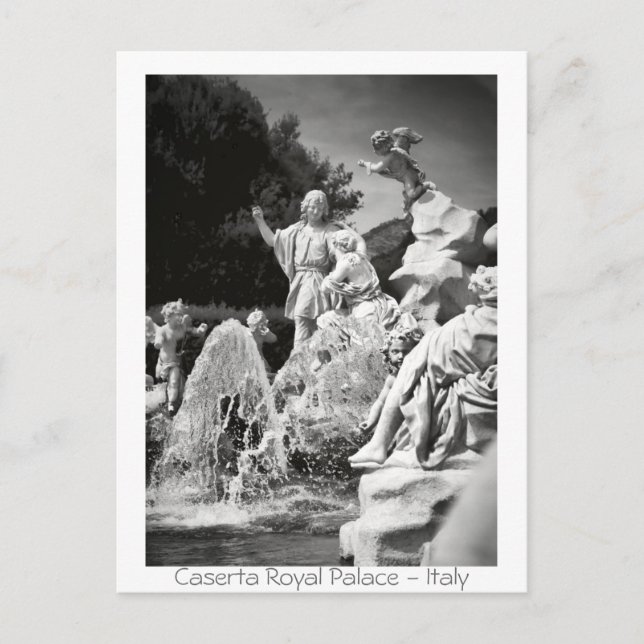 Caserta Royal Palace Postcard (Front)