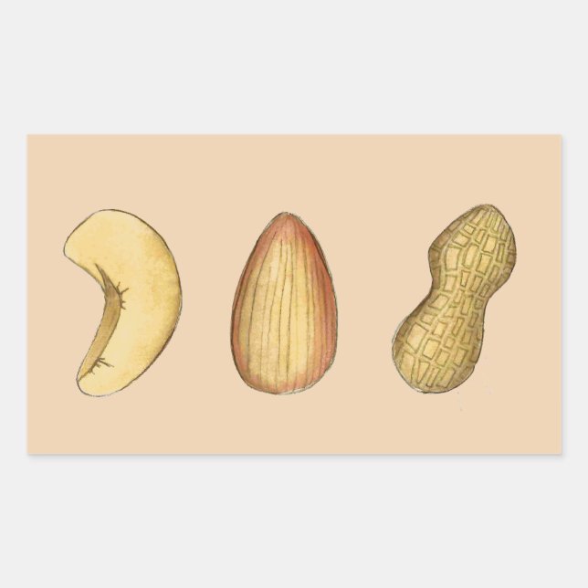 Cashew, Almond, Peanut Nut Nutty Nuts Stickers (Front)
