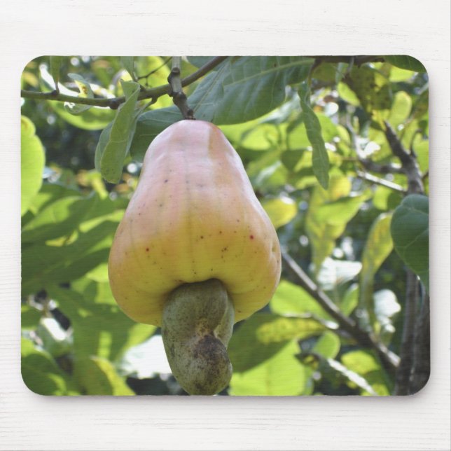 Cashew Tree Mousepad (Front)