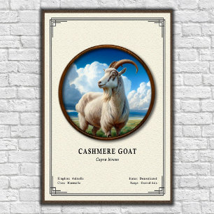 Cashmere Goat Zoology Series Poster